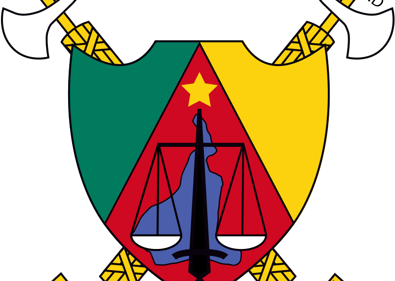 Cameroon Constitution 2008 [revised]