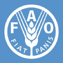 UN Jobs: FAO – Information Management Consultant