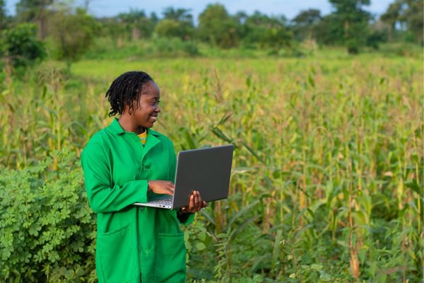 Grant Opportunities: UM6P and IFA launch the Africa Agtech Startup Showcase (€20,000 prize)