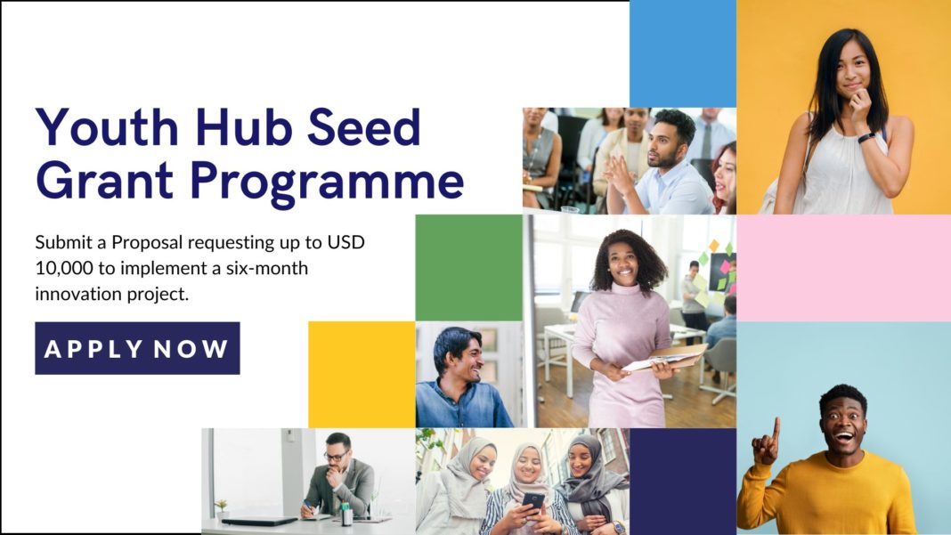 Grant Opportunities: Youth Hub Seed Grant Programme: Submit a Proposal requesting up to USD 10,000