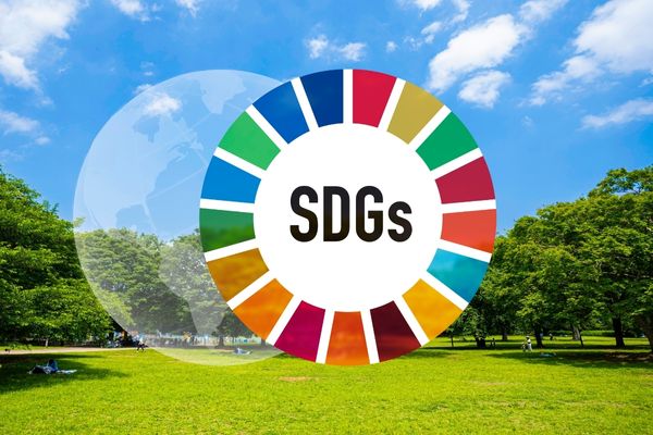 Grant Opportunities: Lead2030 Challenge for SDG 12: Seeking Solutions from Young Innovators