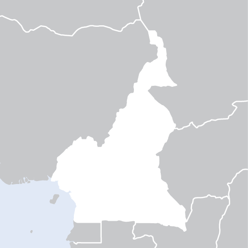 UN Jobs: Coordinateur.rice Pays, base à Yaoundé, Cameroun – Cameroon
